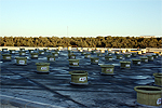 Patio de los fermentadores de las aceitunas